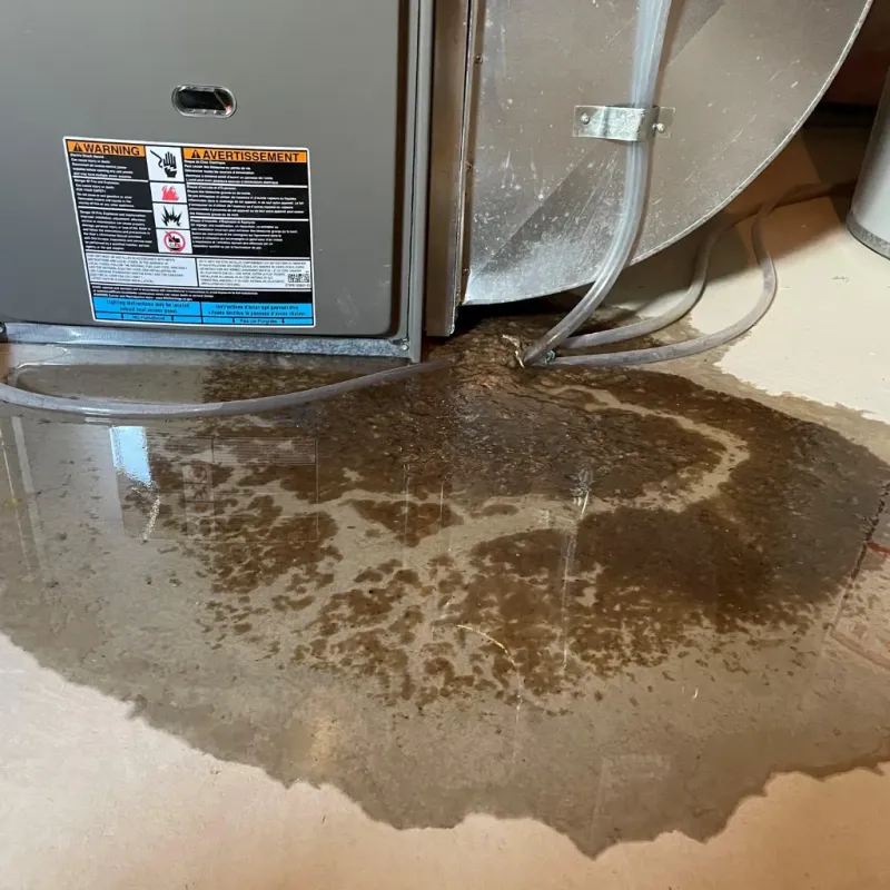 Appliance Leak Cleanup in Clark County, WI